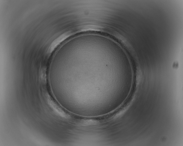 X0000113231113200909171532