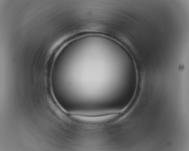 X0000113231114200909171532