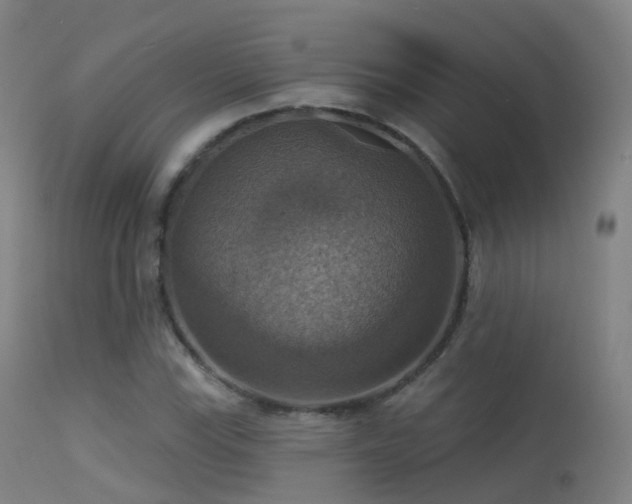 X0000113231115200909171532