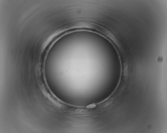 X0000113231116200909171532