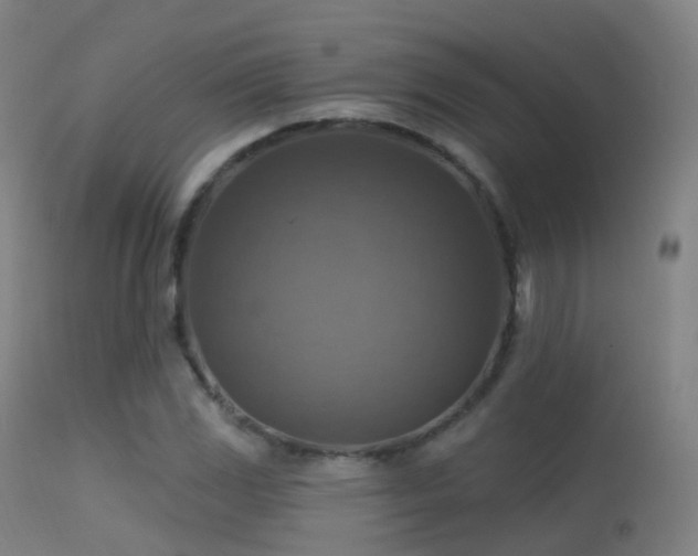 X0000113231117200909171532