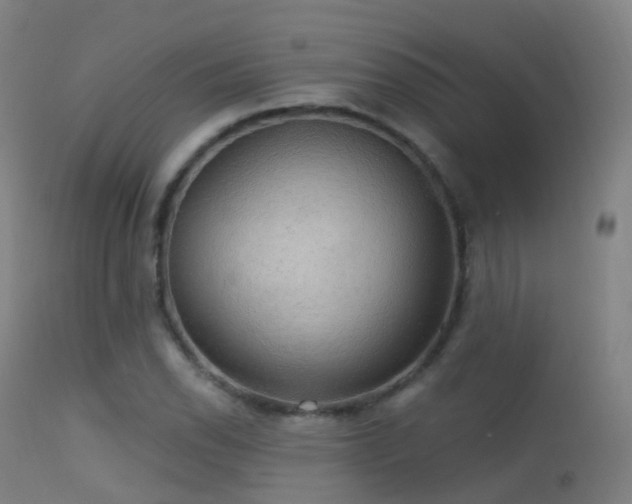 X0000113231118200909171532