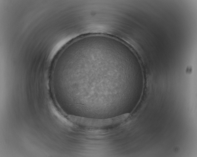 X0000113231120200909171533