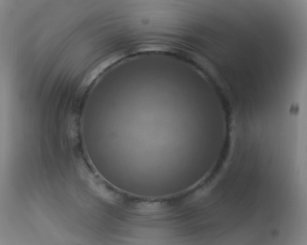 X0000113231121200909171533