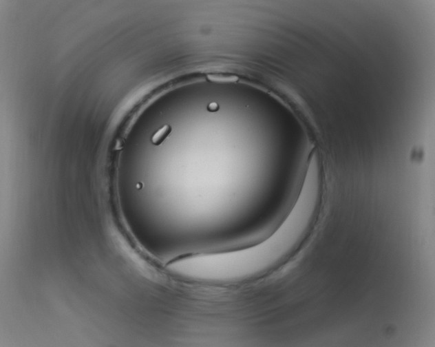 X0000113231122200909171533