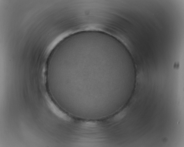 X0000113231126200909171533