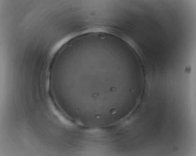 X0000113231127200909171533