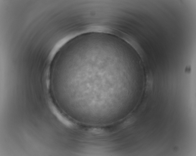 X0000113231128200909171533