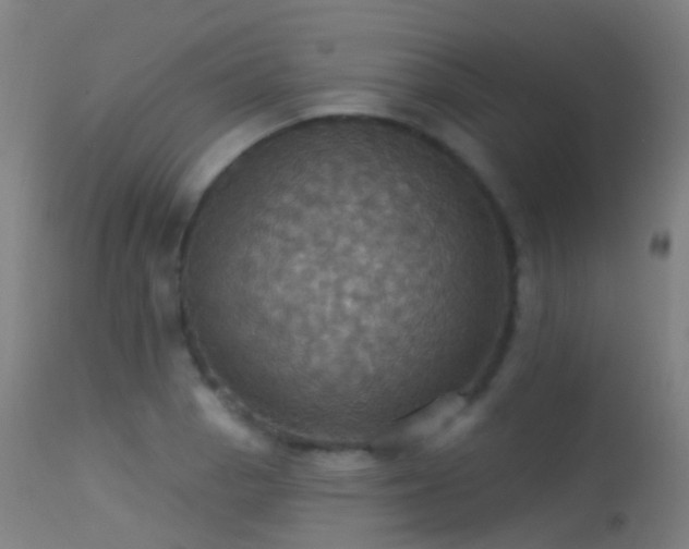 X0000113231129200909171533