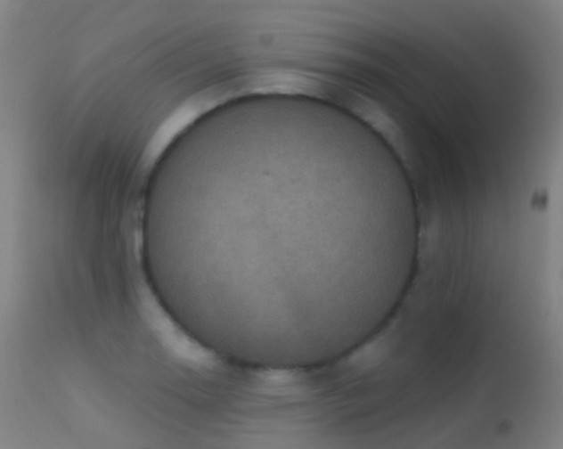 X0000113231130200909171533