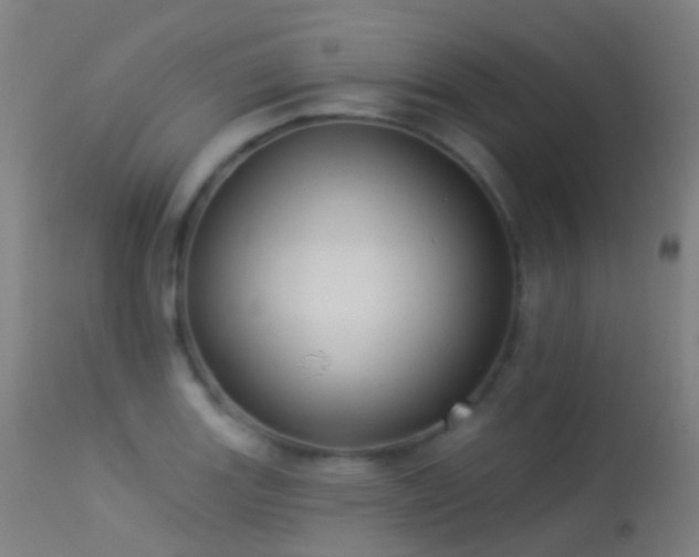 X0000113231131200909171533