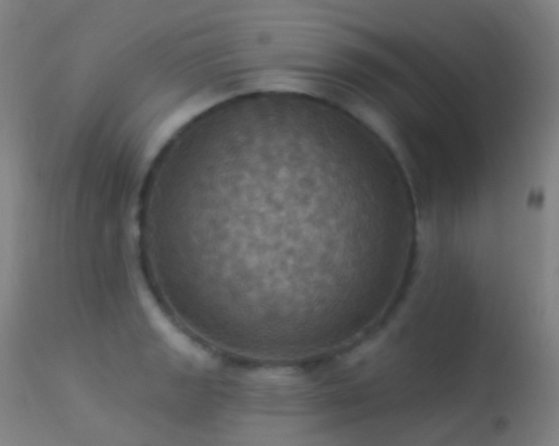 X0000113231133200909171533