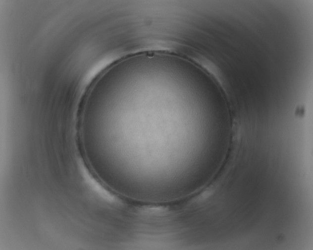 X0000113231135200909171533