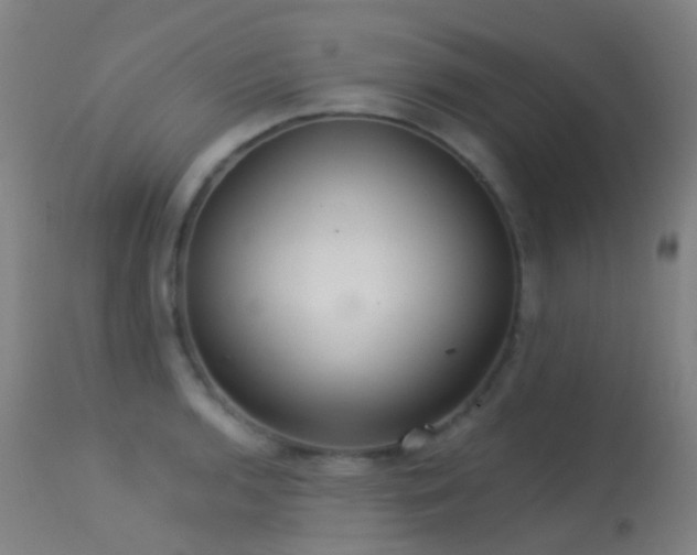 X0000113231136200909171533