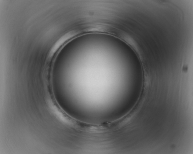 X0000113231138200909171533