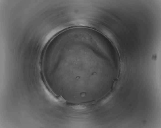 X0000113231141200909171533