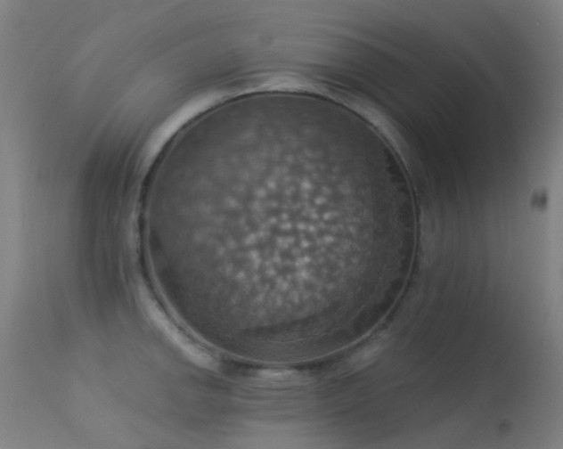X0000113231142200909171533