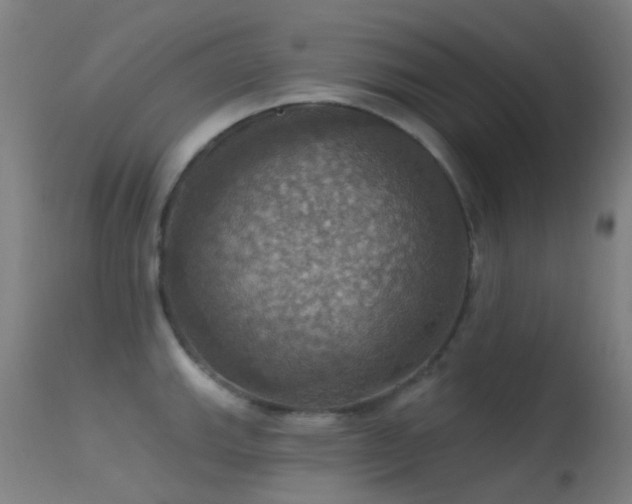 X0000113231143200909171533