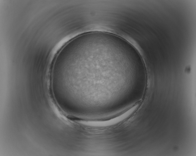 X0000113231144200909171533