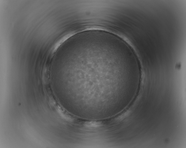X0000113231145200909171533