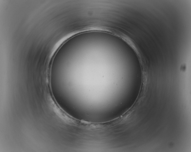 X0000113231148200909171533