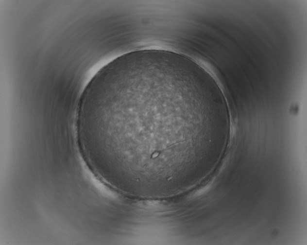 X0000113231149200909171533
