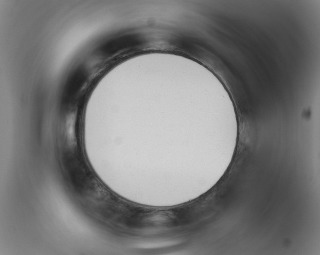 X0000113231150200909171533