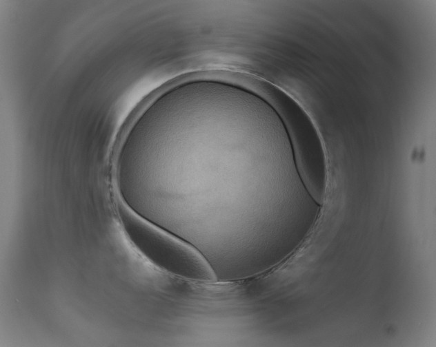 X0000113231152200909171533