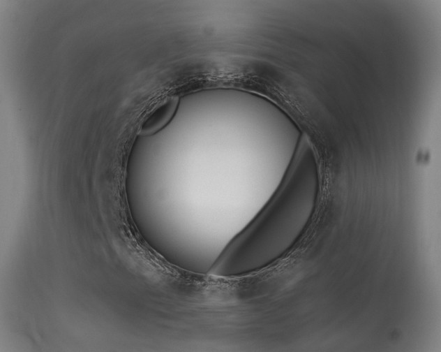 X0000113231153200909171532