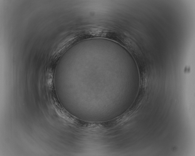 X0000113231154200909171532