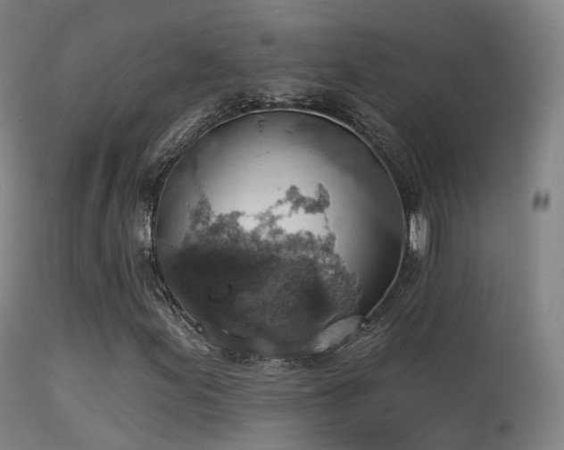 X0000113231155200909171532