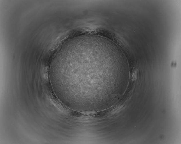 X0000113231156200909171532