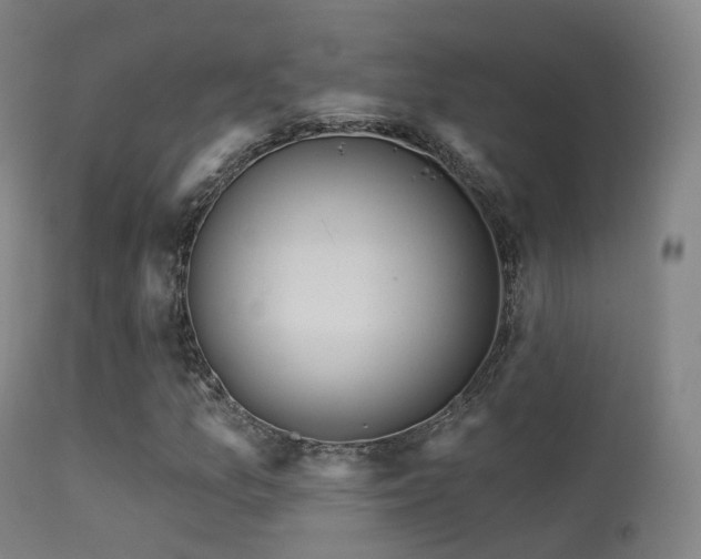 X0000113231157200909171532