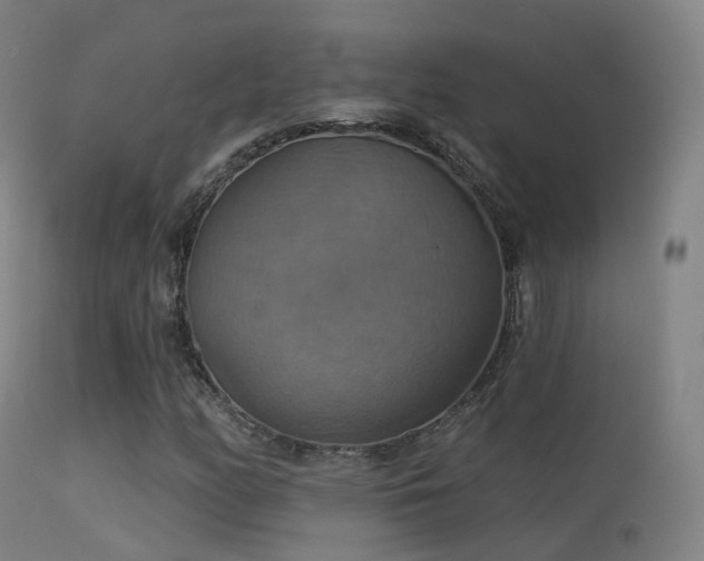 X0000113231158200909171532