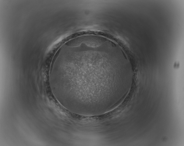 X0000113231159200909171532