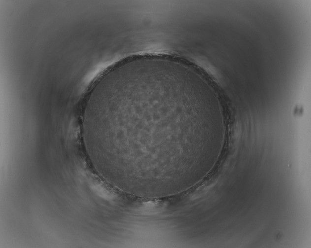 X0000113231160200909171532