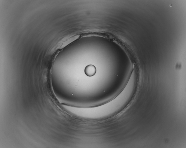 X0000113231161200909171532
