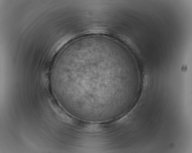 X0000113231162200909171532