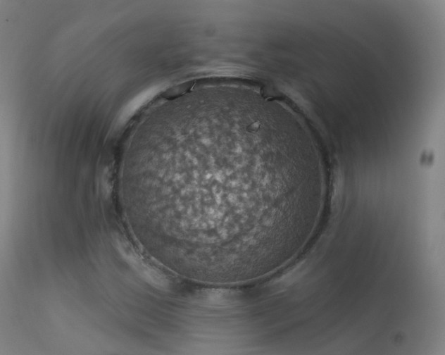 X0000113231163200909171532