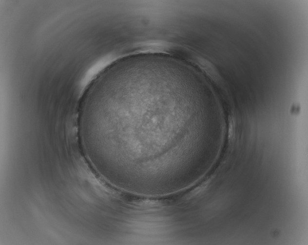 X0000113231164200909171532