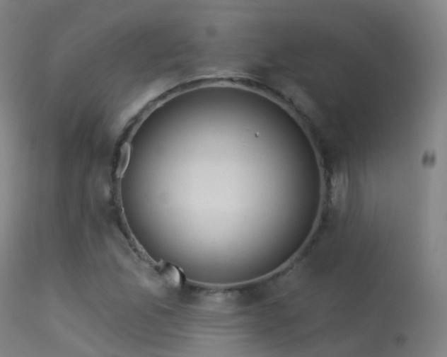 X0000113231165200909171532