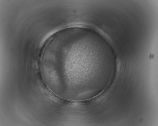 X0000113231166200909171532