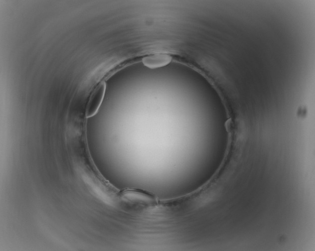 X0000113231169200909171532