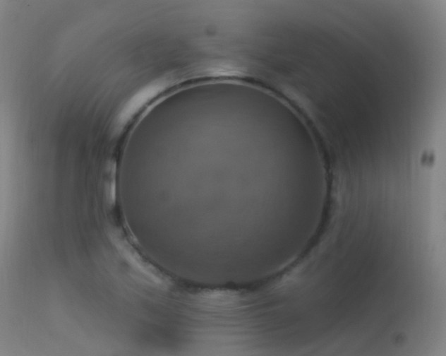 X0000113231171200909171532