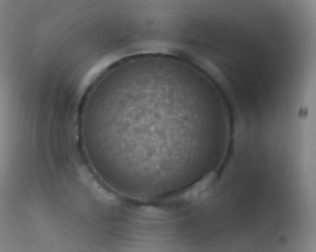 X0000113231172200909171532