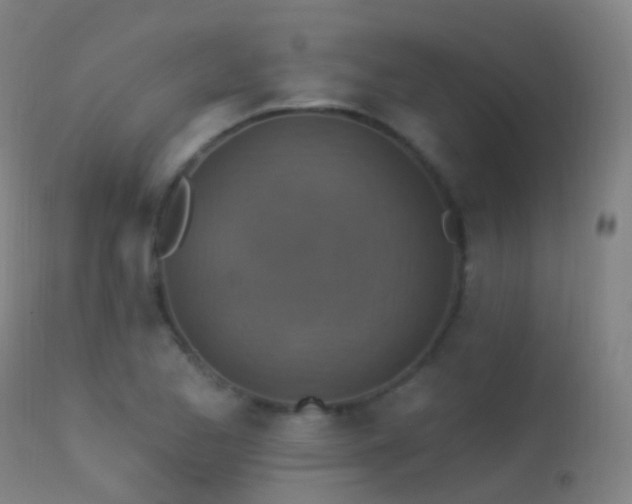 X0000113231173200909171532
