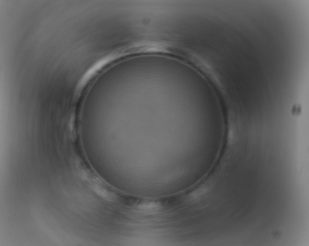 X0000113231174200909171532