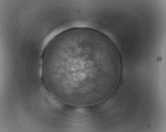 X0000113231175200909171532