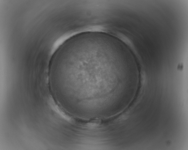 X0000113231176200909171532