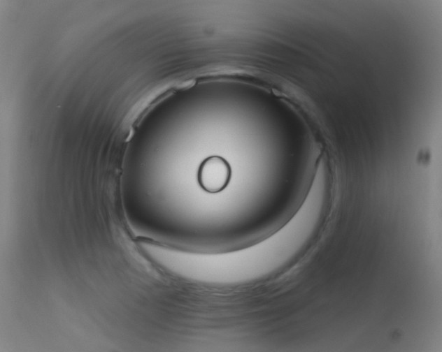 X0000113231177200909171532